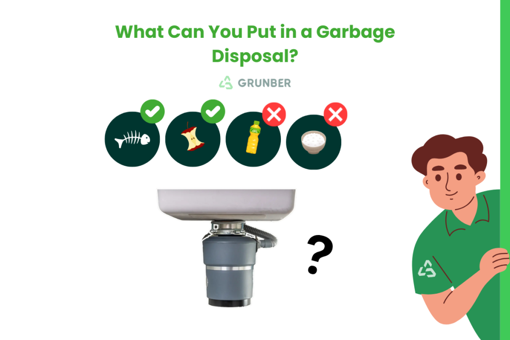 Dynamic What Can You Put In A Garbage Disposal Capture Art Dynamic What Can You Put In A Garbage Disposal Capture Art