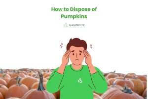 a guide to how to dispose of pumpkins